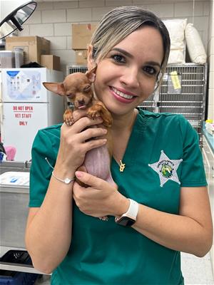 vet tech and pup